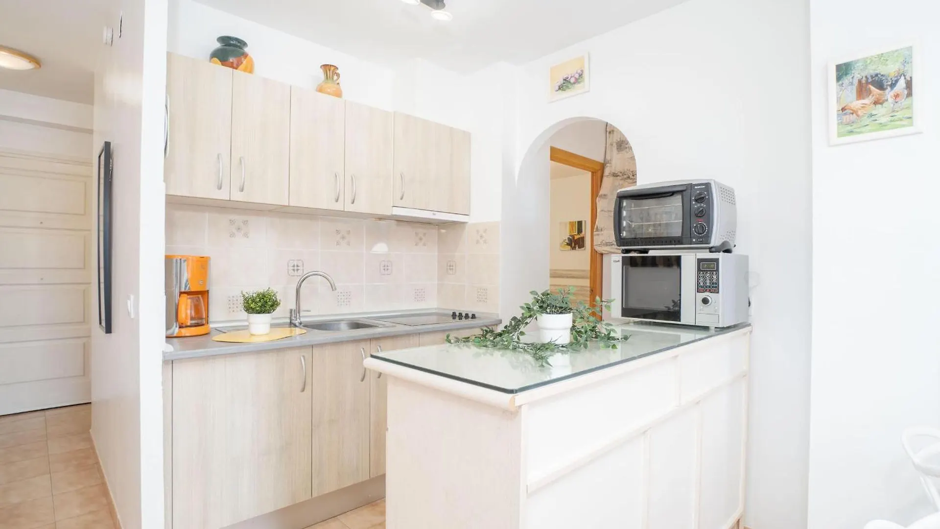 Appartamento Apartamento Con Terraza Y Parking A 2 Minutos De La Playa - Empuriabrava - Hisp-288-66